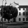 2003 Municipio Monselice.jpg